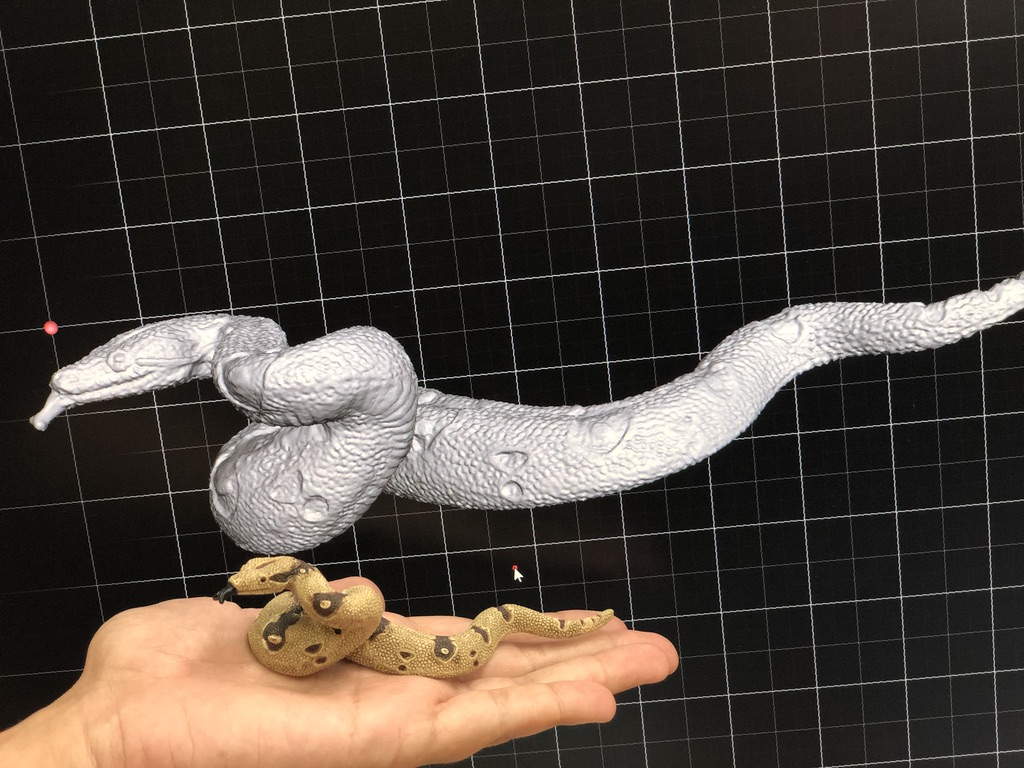Escaneado 3D de serpiente